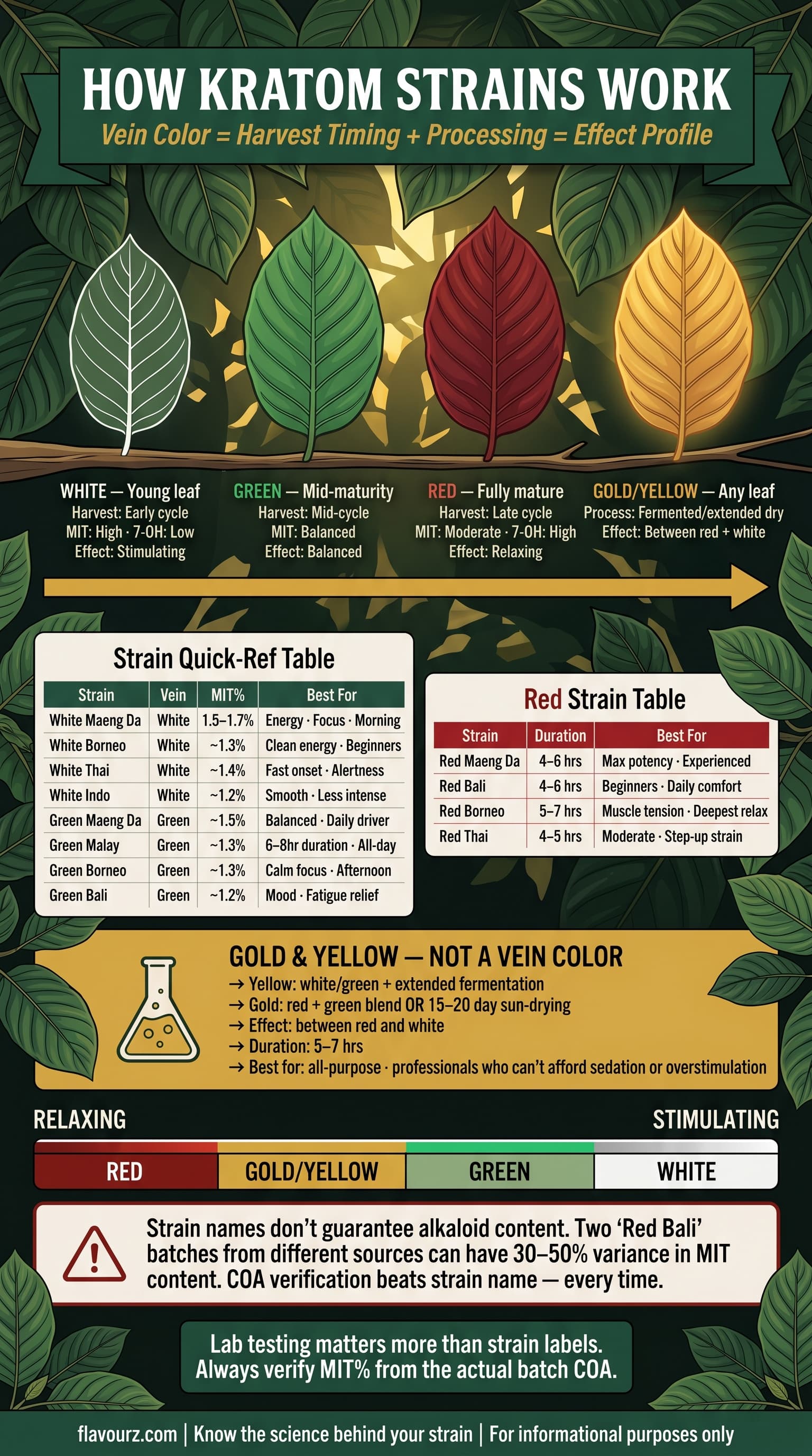 infographic for How Kratom Strains Work Vein Color Science